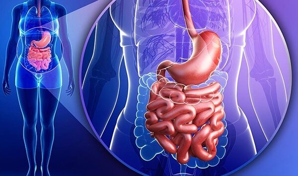 Lạm dụng đồ uống có cồn gây nhiều ảnh hưởng đến hệ tiêu hóa