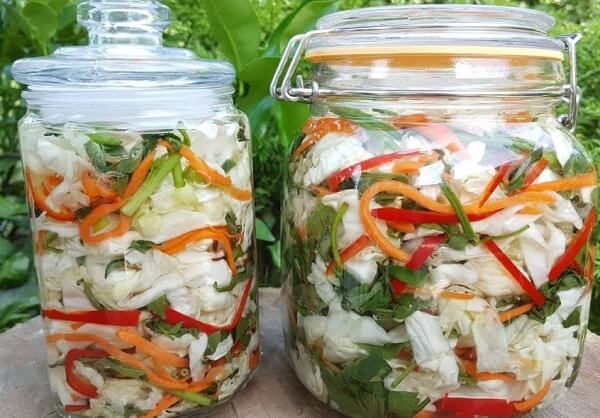 Dưa bắp cải