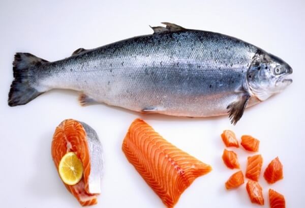 Cá hồi Coho