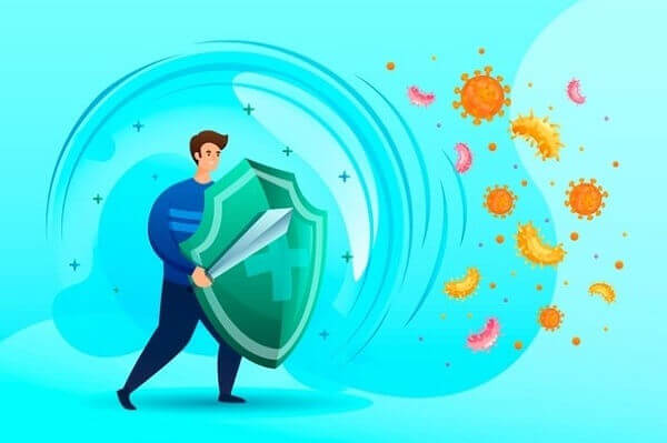 Yến sào giúp tăng cường sức khỏe hệ miễn dịch