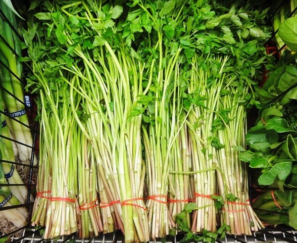 Cây cần ta (cần nước)