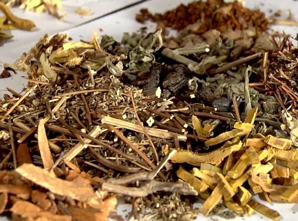 Khi sử dụng cây thuốc cần kiên trì để đạt được hiệu quả