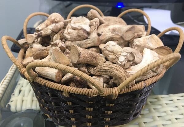 Chân nấm hương cũng rất tốt đối với cơ thể