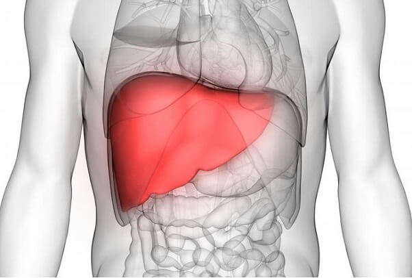 Repaglinide phần lớn được chuyển hóa qua gan