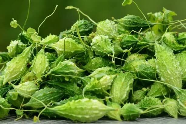 Công dụng của khổ qua rừng