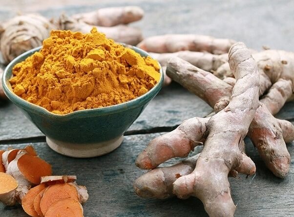Đặc điểm thực vật của cây nghệ