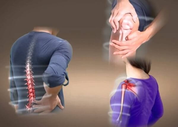 Đậu đen rất tốt cho hệ thống xương khớp