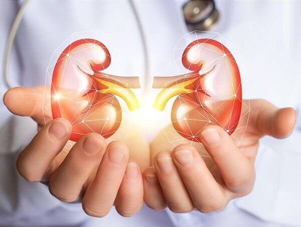 Bệnh thận do đái tháo đường - biến chứng nguy hiểm ở bệnh tiểu đường