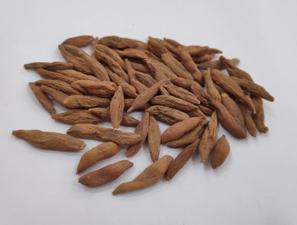 Dược liệu mạch môn