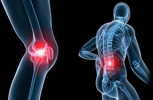 Hạt điều chứa các chất dinh dưỡng tốt cho xương khớp