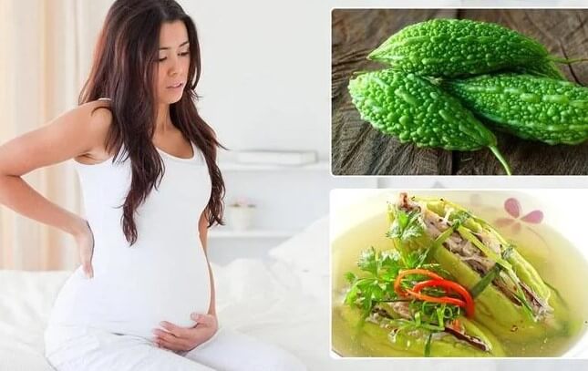 Khổ qua rừng không tốt cho phụ nữ có thai, sau sinh và cho con bú