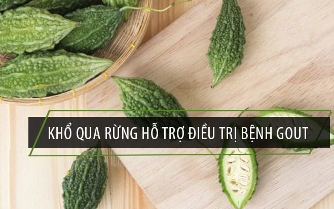 Khổ qua rừng cải thiện gout rất tốt