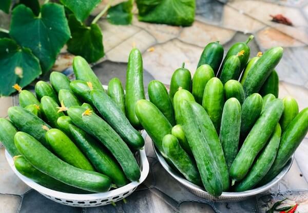 Không kết hợp cherry và dưa chuột