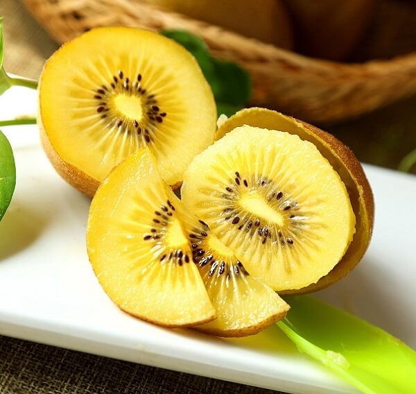 hình ảnh  chim thực vật trái cây món ăn Sản xuất khỏe mạnh Quả kiwi  vitamin cắt lát Chim bay trái kiwi 4752x3168   1056512  hình ảnh đẹp   PxHere