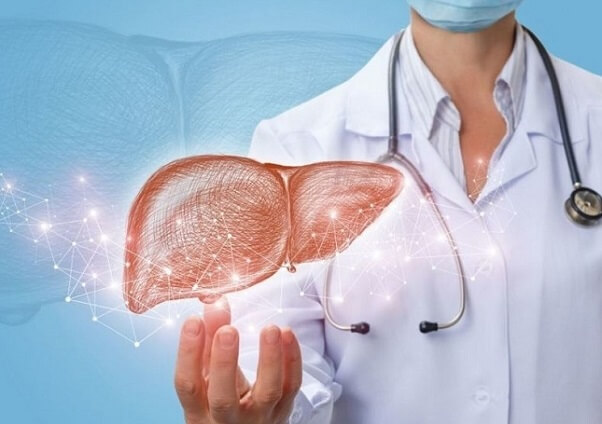 Lạm dụng cây Chó đẻ có thể gây xơ gan