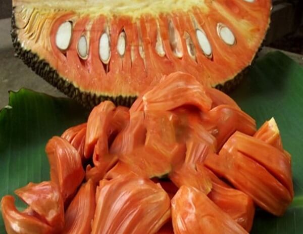 Mít ruột đỏ