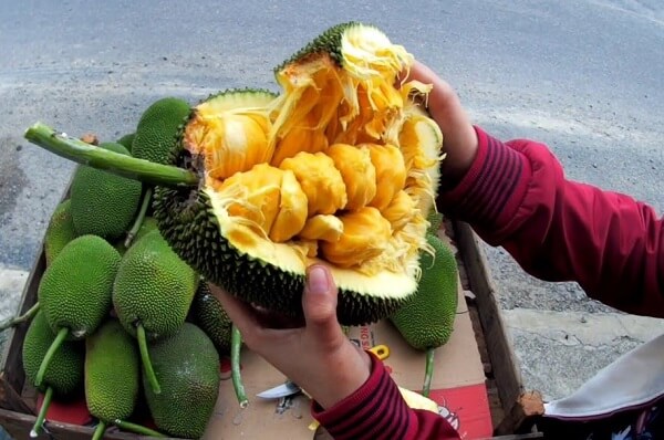 Mít tố nữ