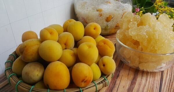 Mơ ngâm đường