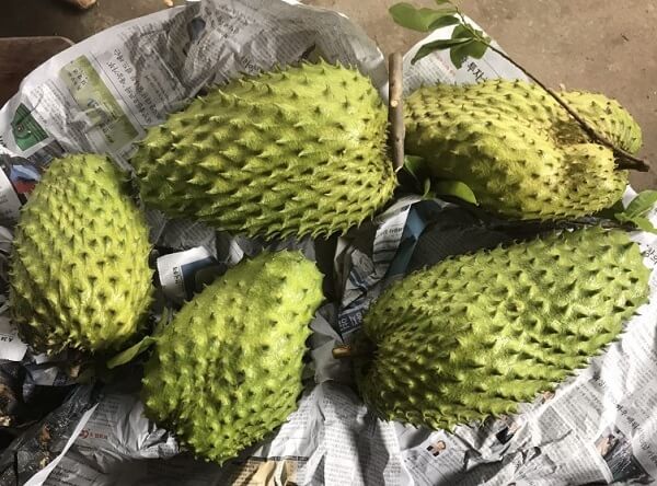 Quả na xiêm