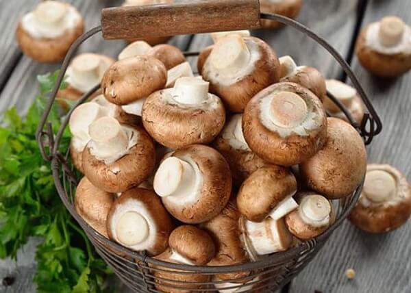 Nấm hương có tác dụng gì đối với sức khỏe?