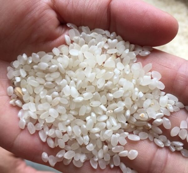 Hình ảnh gạo nếp Tú Lệ