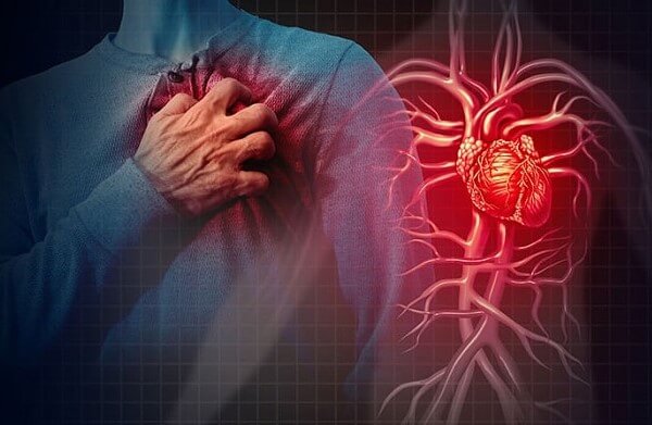 Giảo cổ lam giúp ngăn ngừa các bệnh tim mạch