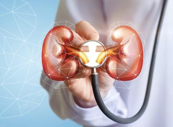 Người bệnh thận nên hạn chế sử dụng đậu đen hay nước đậu đen