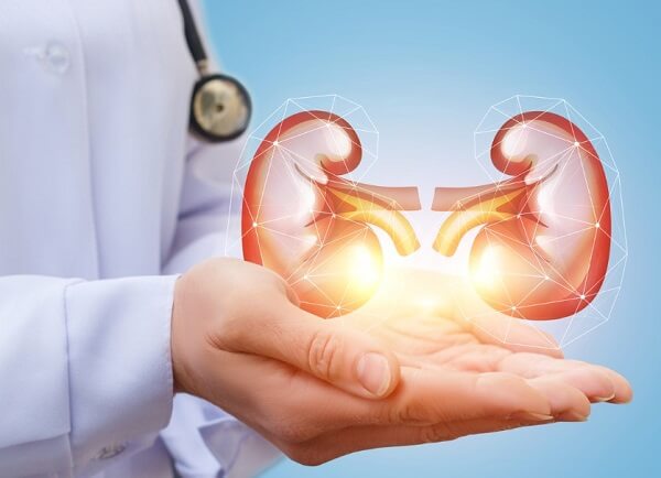 Người bệnh thận nên cân nhắc trước khi sử dụng rong biển