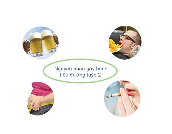 Nguyên nhân gây bệnh tiểu đường type 2