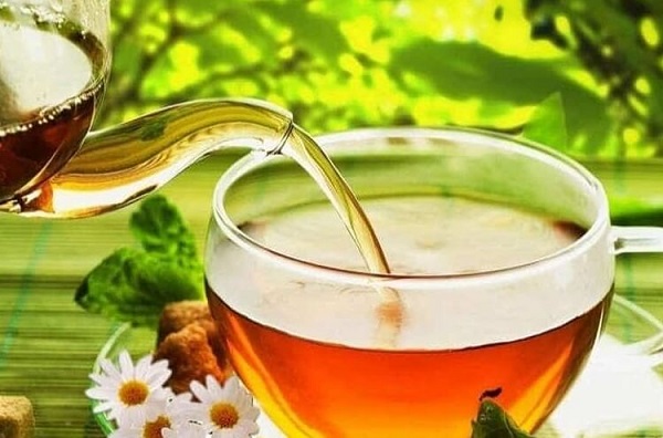 Lá mật gấu chứa nhiều chất chống oxy hóa tốt cho sức khỏe