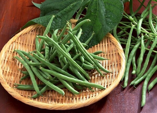 Đậu cô ve giúp cơ thể ngăn ngừa sự phát triển của một số bệnh ung thư