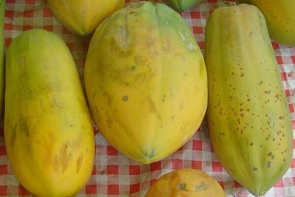 Ăn đu đủ có tác dụng gì?