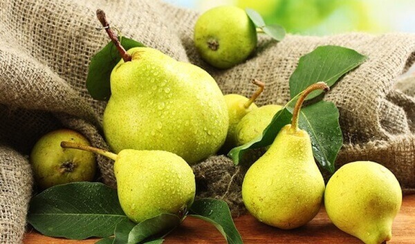 Lê giúp cải thiện bệnh tiểu đường
