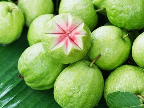 Hình ảnh quả ổi