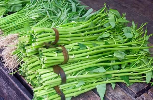 Rau muống có tác dụng gì đối với sức khỏe?