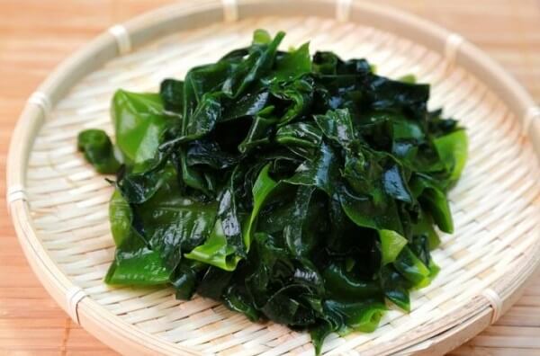 Rong biển có tác dụng gì?