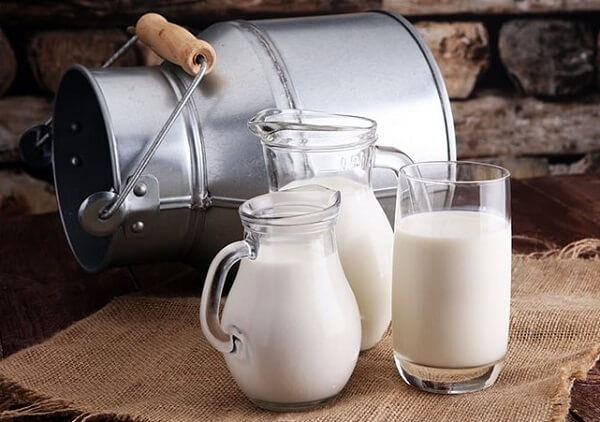 Sữa chua được làm từ gì?