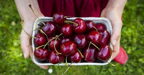 Tác dụng của quả cherry là gì?