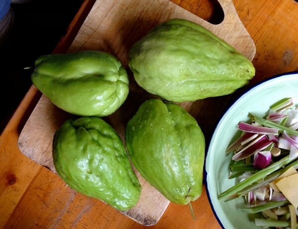 Nhựa của quả su su không có độc như mọi người thường nghĩ