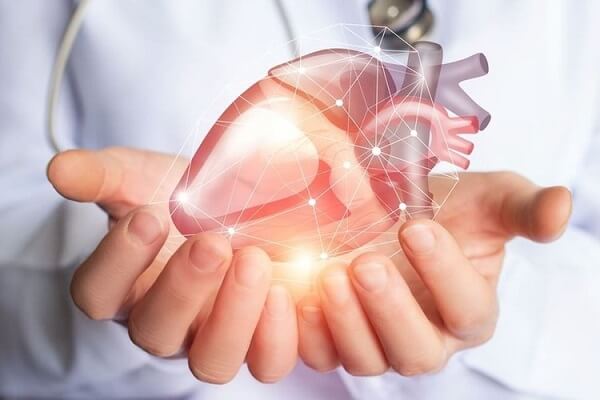 Rong biển có thể cải thiện sức khỏe tim mạch người tiêu dùng