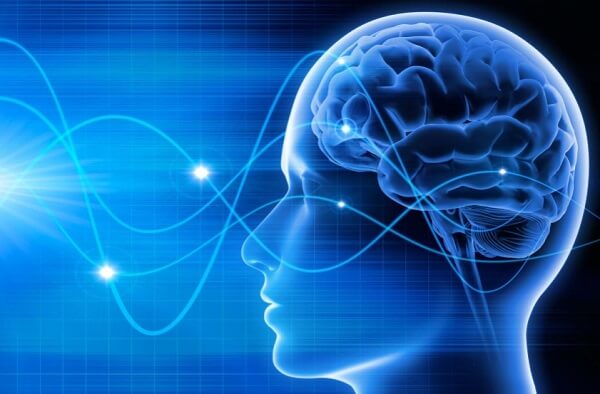 Dưa lê giúp cải thiện trí nhớ và giảm nguy cơ mắc trầm cảm