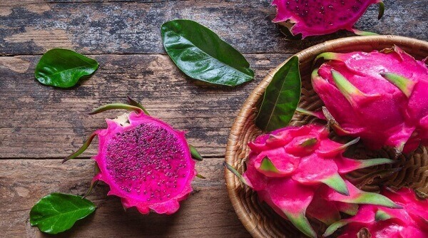 Lưu ý khi sử dụng