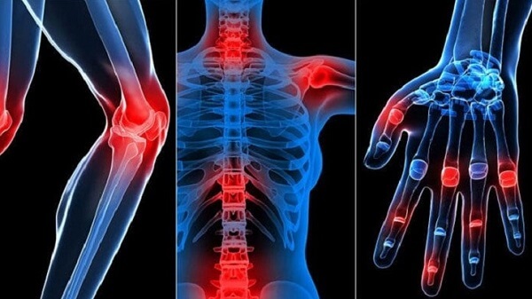 Thịt vịt giúp tăng cường sức khỏe xương khớp