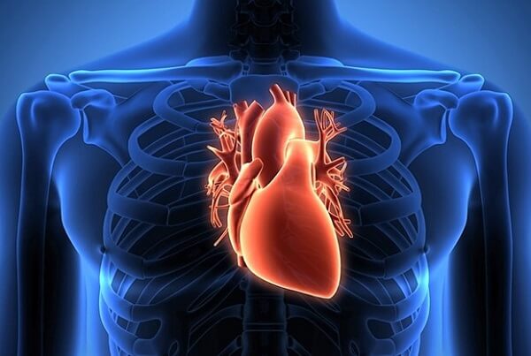 Măng chứa nhiều chất dinh dưỡng tốt cho tim mạch