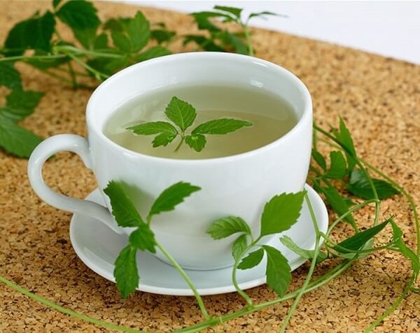 Trà Giảo cổ lam