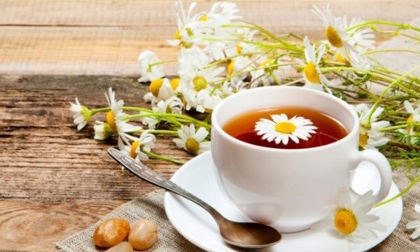 Trà hoa cúc có tác dụng gì đối với sức khỏe