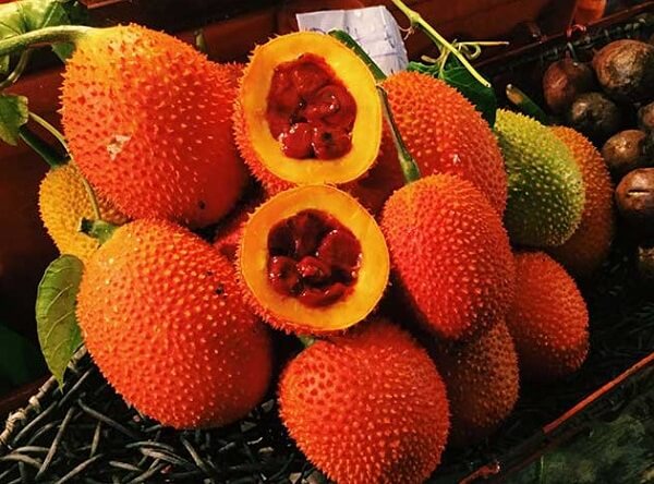 Gấc là loai quả rât tốt cho phụ nữ có thai