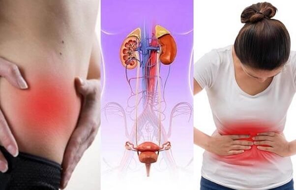 Cây Mã đề giúp hỗ trợ chữa viêm đường tiết niệu