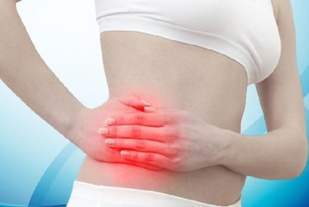 Cây mật gấu giúp điều trị viêm ruột thừa