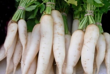 Củ cải trắng rất tốt cho sức khỏe